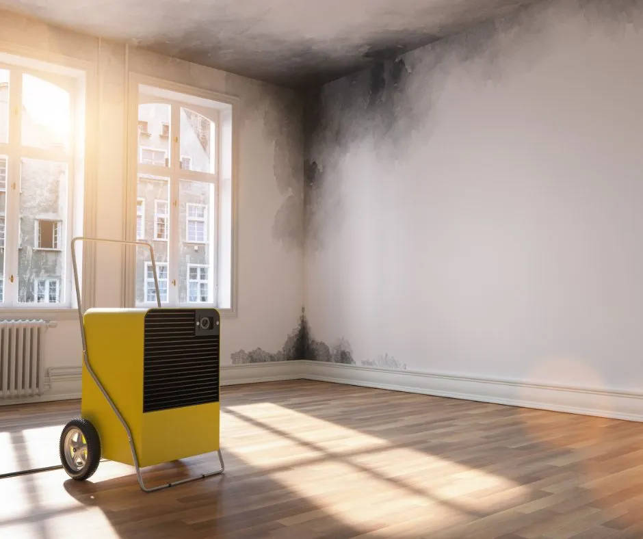 Crawl Space Mold Remediation at Durham, NC